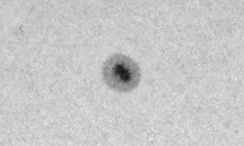 2023年5月25日の黒点（活動領域13313）