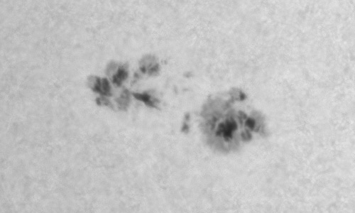 2023年5月25日の黒点（活動領域13315）