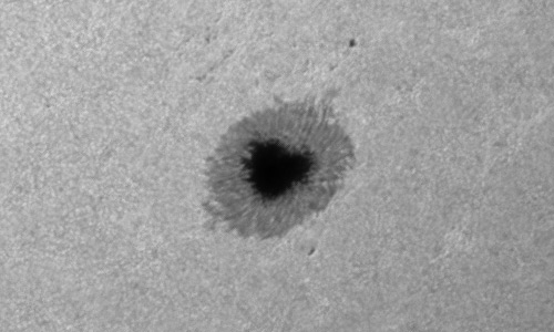 2023年5月27日の黒点（活動領域13310）