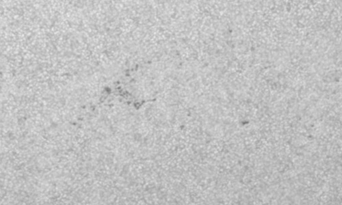 2023年5月27日の黒点（活動領域13312）