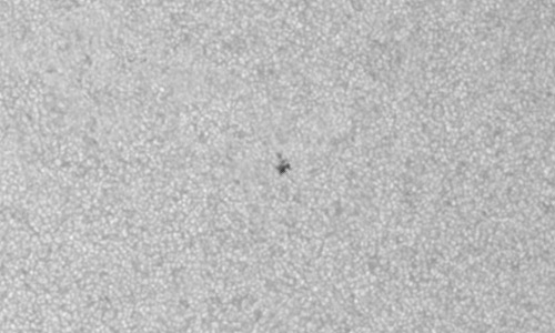 2023年5月31日の黒点（活動領域13316）