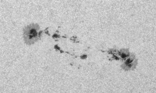 2023年5月31日の黒点（活動領域13319）