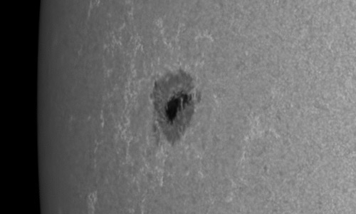 2023年5月31日の黒点（活動領域13321）