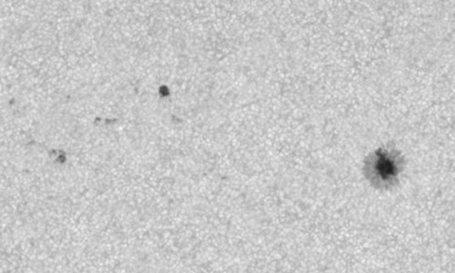 2023年6月4日の黒点（活動領域13320）