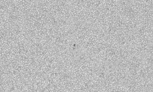 2023年6月6日の黒点（活動領域13328）