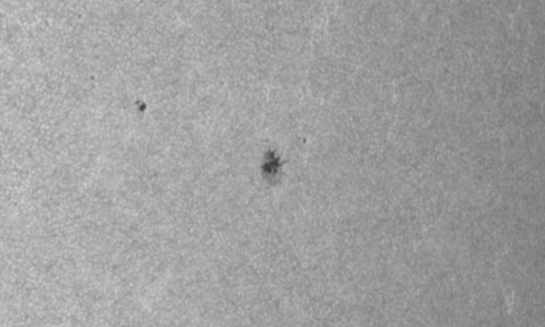 2023年6月8日の黒点（活動領域13320）