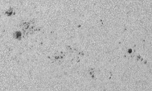 2023年6月8日の黒点（活動領域13323）