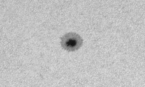 2023年6月8日の黒点（活動領域13326）