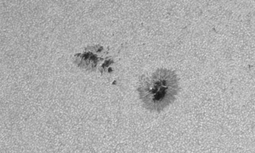 2023年6月8日の黒点（活動領域13329）