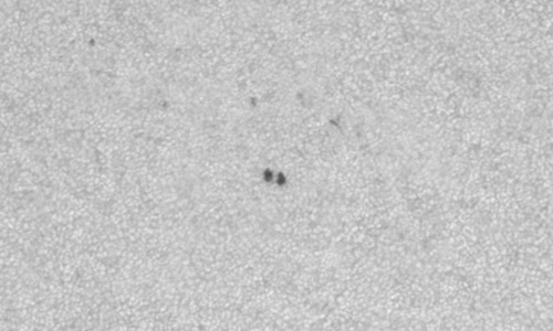 2023年6月8日の黒点（活動領域13330）