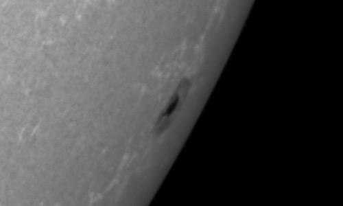 2023年6月11日の黒点（活動領域13321）