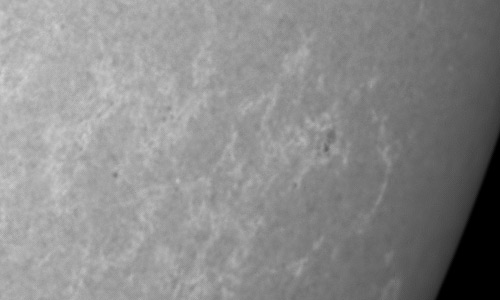 2023年6月11日の黒点（活動領域13323）