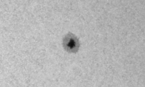 2023年6月11日の黒点（活動領域13326）