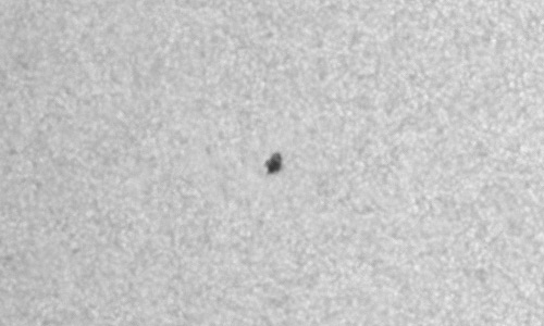 2023年6月11日の黒点（活動領域13332）