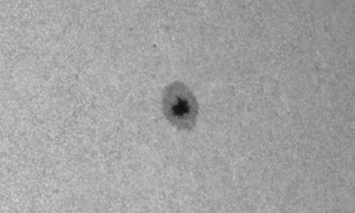 2023年6月12日の黒点（活動領域13326）