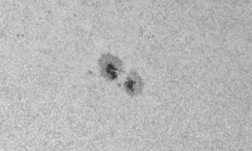 2023年6月12日の黒点（活動領域13329）