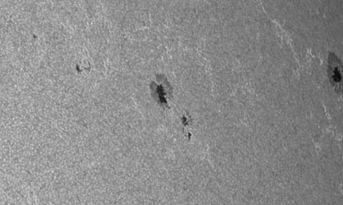 2023年6月14日の黒点（活動領域13329）