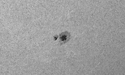 2023年6月16日の黒点（活動領域13331）