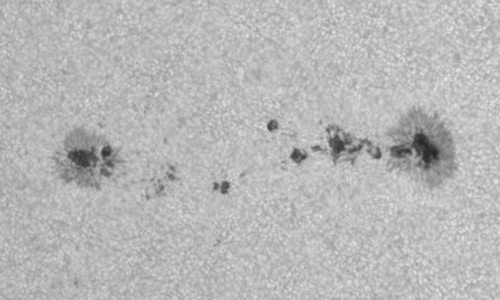 2023年6月16日の黒点（活動領域13333）