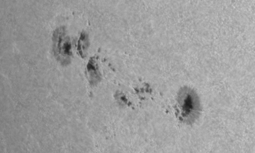 2023年6月16日の黒点（活動領域13335）