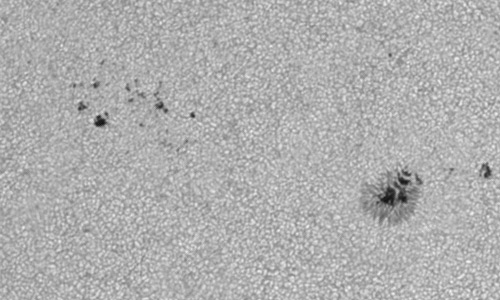 2023年6月20日の黒点（活動領域13338）