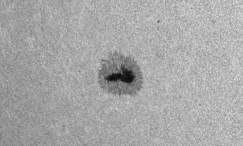 2023年6月20日の黒点（活動領域13339）