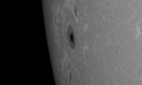 2023年6月20日の黒点（活動領域13341）