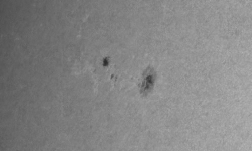 2023年6月21日の黒点（活動領域13345）