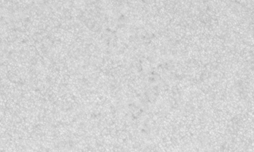 2023年6月21日の黒点（活動領域13337）