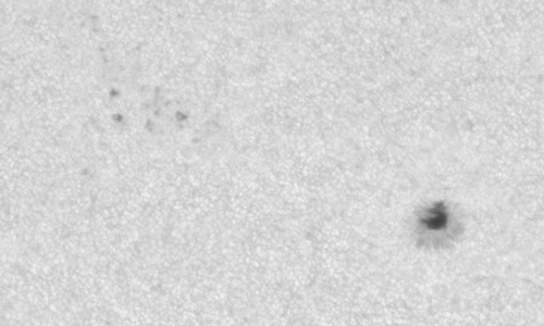 2023年6月21日の黒点（活動領域13338）