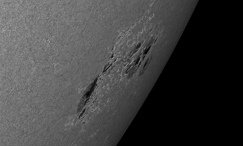 2023年6月21日の黒点（活動領域13342）