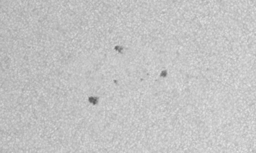 2023年6月22日の黒点（活動領域13346）