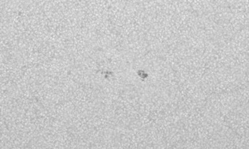 2023年6月22日の黒点（活動領域13347）