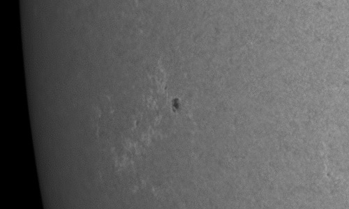 2023年6月22日の黒点（活動領域13350）