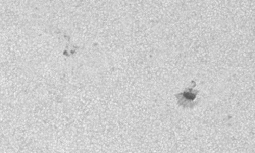 2023年6月22日の黒点（活動領域13338）