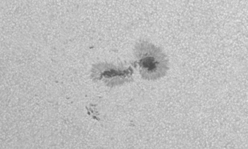 2023年6月22日の黒点（活動領域13339）