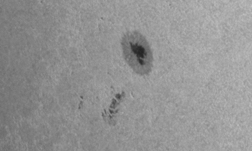 2023年6月22日の黒点（活動領域13341）