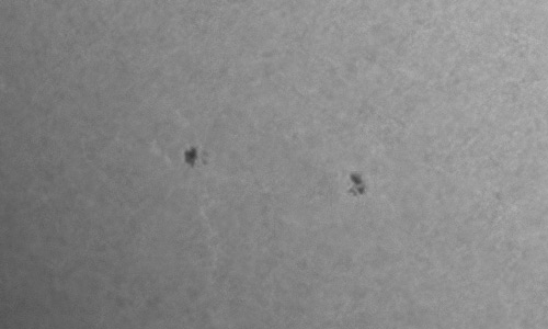 2023年6月24日の黒点（活動領域13348）