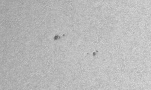 2023年6月24日の黒点（活動領域13349）