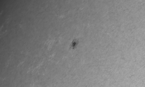 2023年6月24日の黒点（活動領域13351）