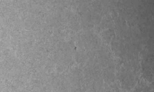 2023年6月24日の黒点（活動領域13334）