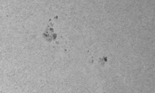 2023年6月24日の黒点（活動領域13337）