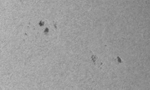 2023年6月24日の黒点（活動領域13338）