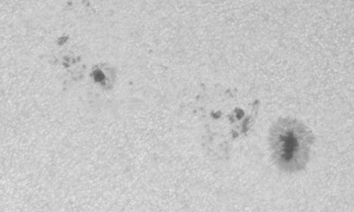 2023年6月24日の黒点（活動領域13340）