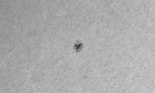 2023年6月25日の黒点（活動領域13351）