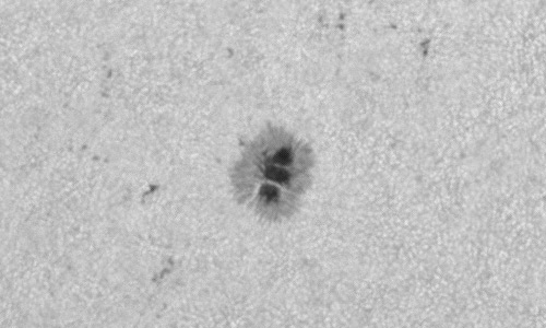 2023年6月25日の黒点（活動領域13341）