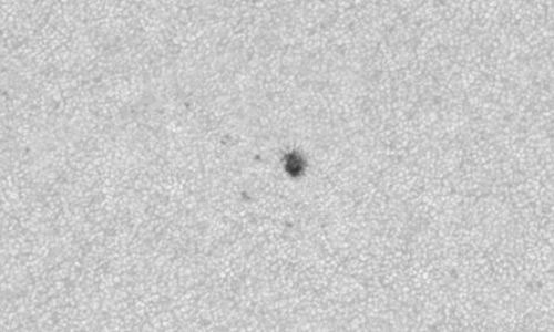 2023年6月25日の黒点（活動領域13345）