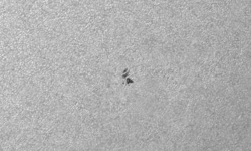 2023年6月25日の黒点（活動領域13347）