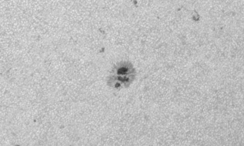 2023年6月27日の黒点（活動領域13341）