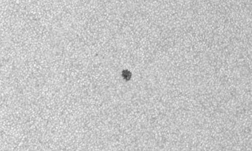 2023年6月27日の黒点（活動領域13345）